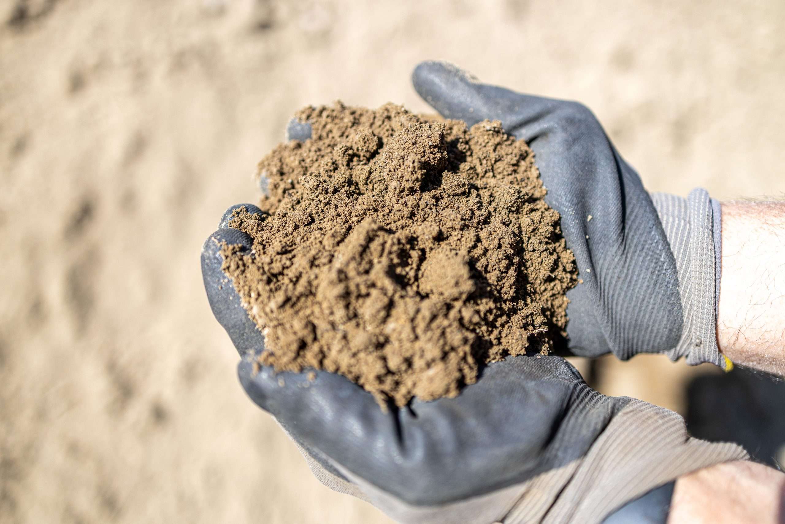Screened Topsoil
